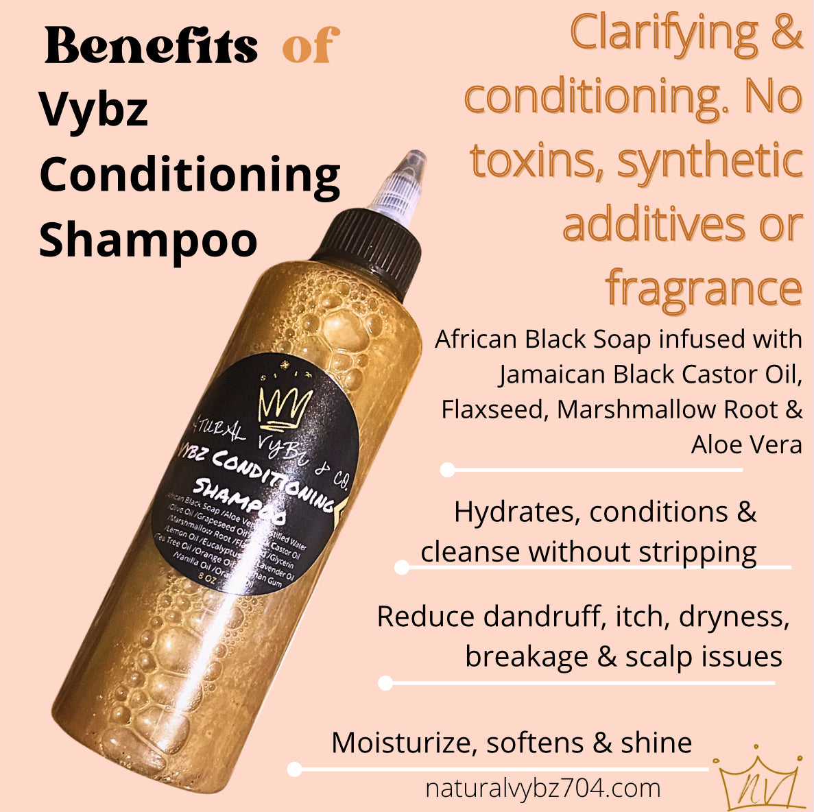 Vybz Conditioning Shampoo | 2-in-1 All For You