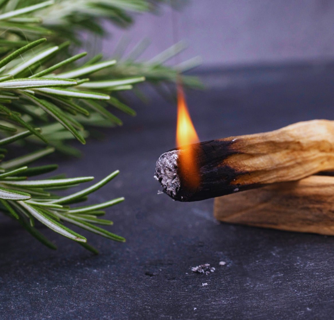 2 Intentional Palo Santo Sticks | Ethically Sourced Cleansing Tools