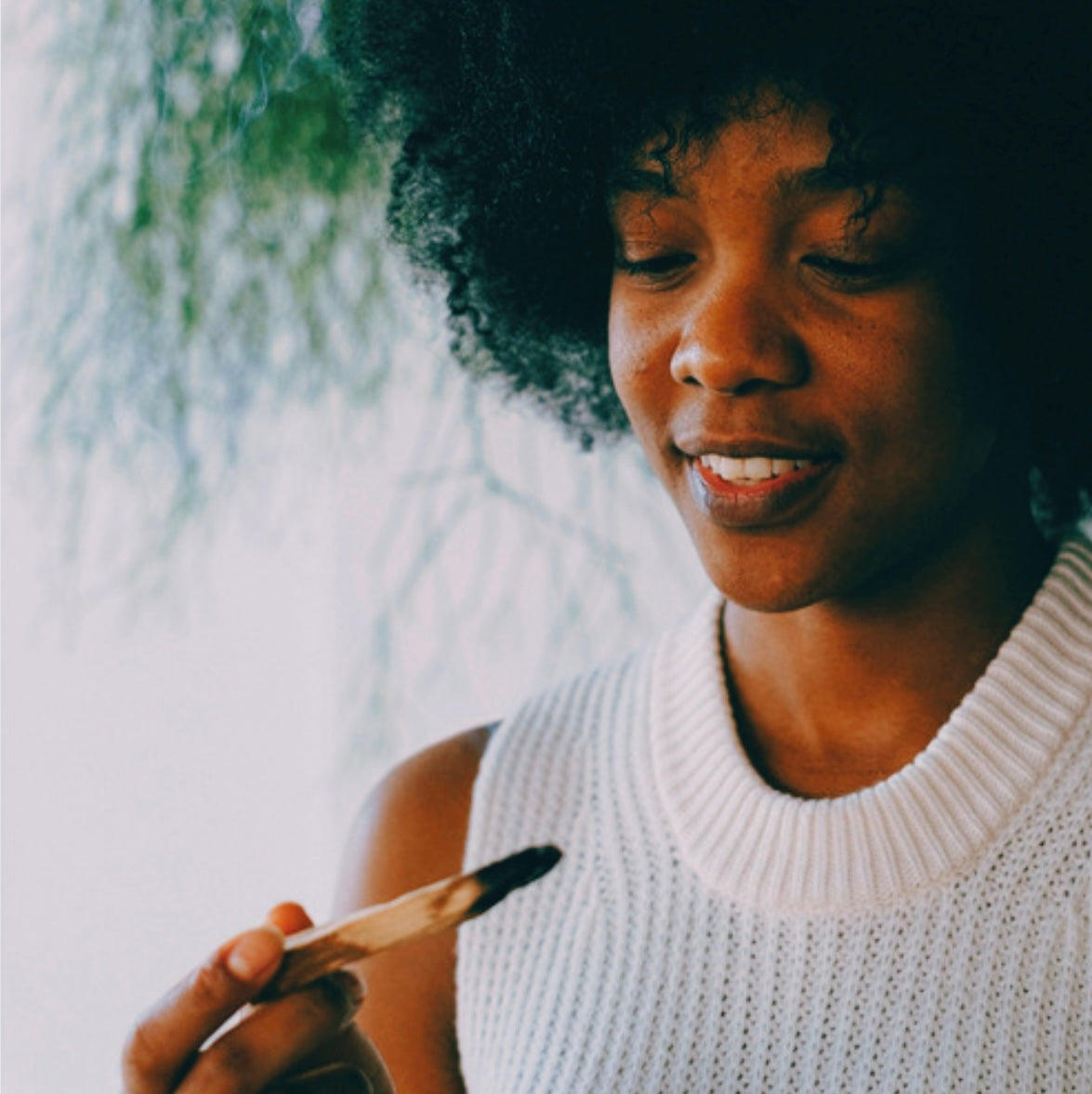 2 Intentional Palo Santo Sticks | Ethically Sourced Cleansing Tools