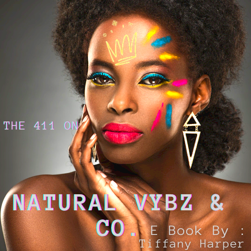 Vybz Conscious Cosmetics Ebook